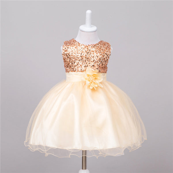 Baby Sequin Dress, Flower Girl or Wedding Princess Dress